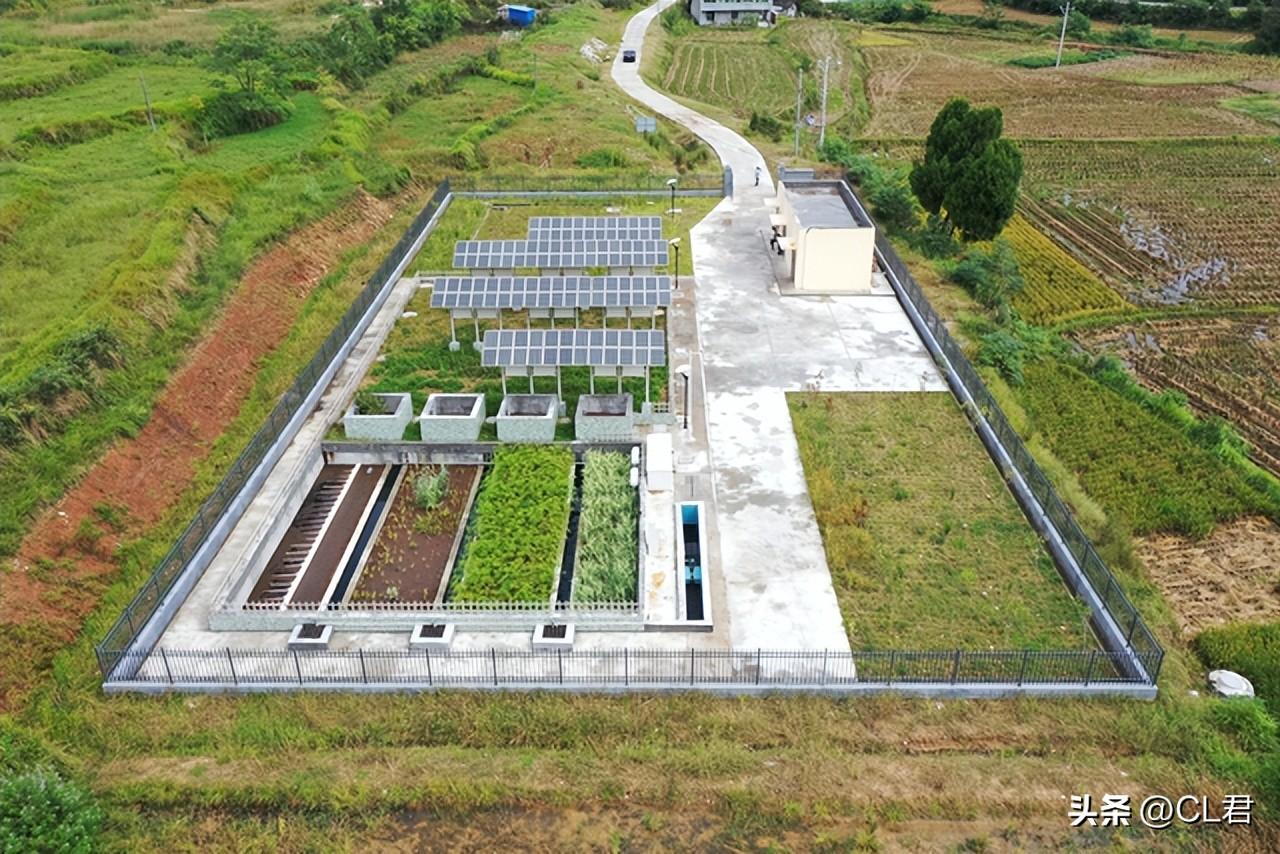 2025全面推广全面推广精准资料免费大全.全面释义、解释与落实